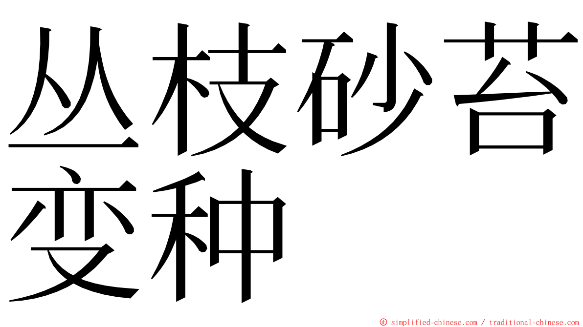 丛枝砂苔变种 ming font