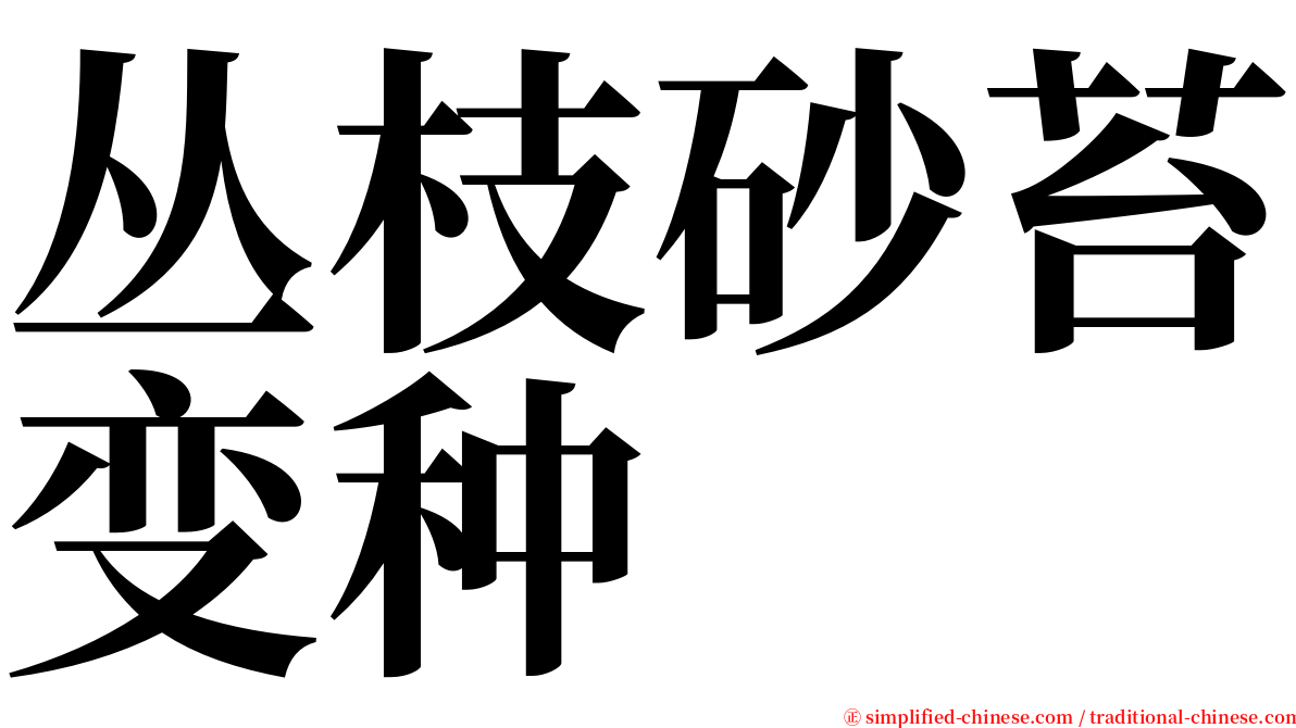 丛枝砂苔变种 serif font