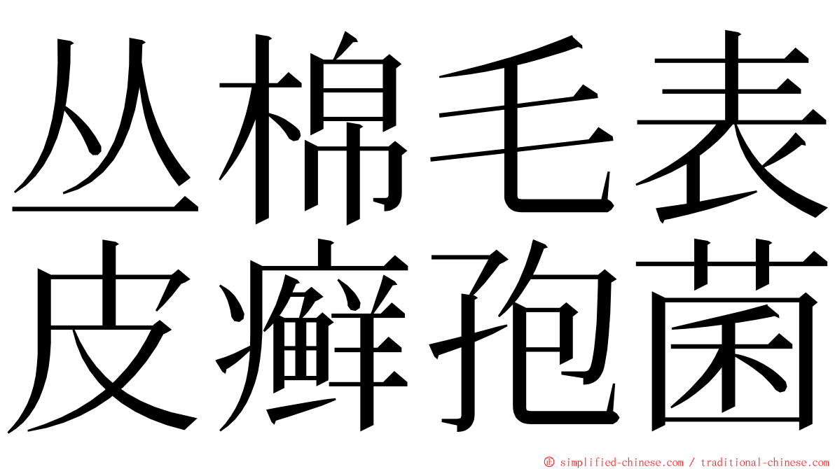 丛棉毛表皮癣孢菌 ming font