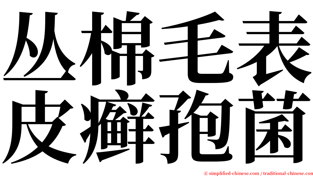 丛棉毛表皮癣孢菌 serif font