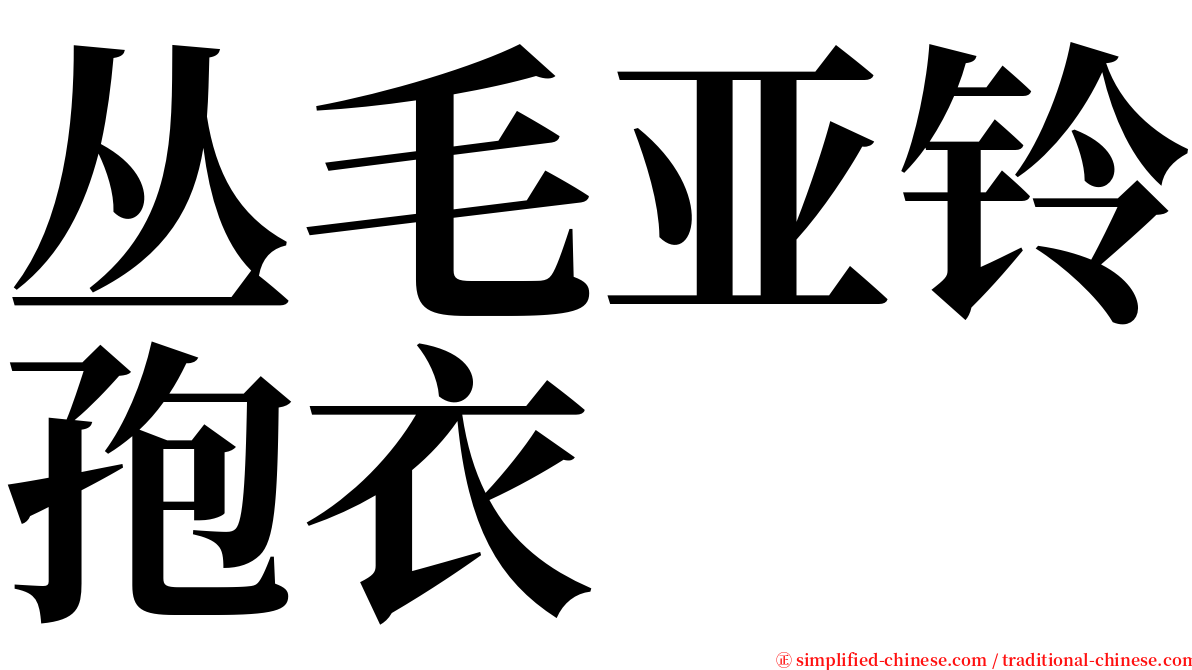 丛毛亚铃孢衣 serif font