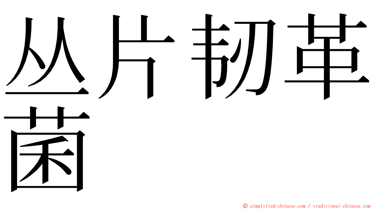 丛片韧革菌 ming font