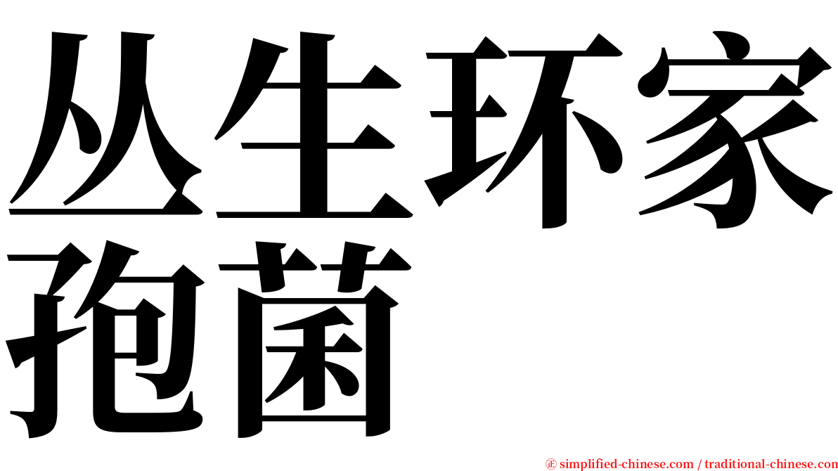 丛生环家孢菌 serif font