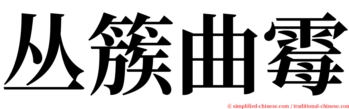 丛簇曲霉 serif font