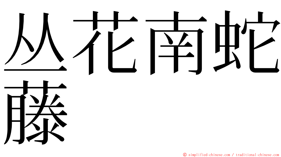 丛花南蛇藤 ming font