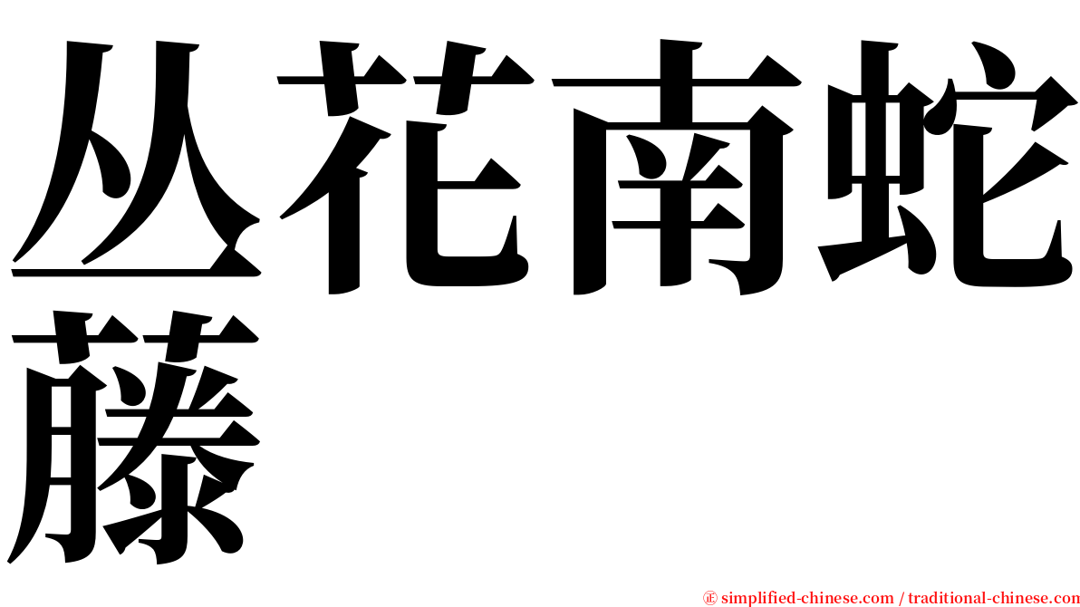 丛花南蛇藤 serif font