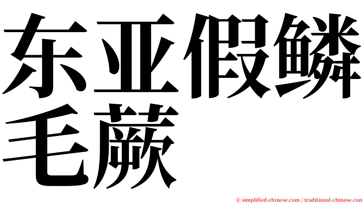 东亚假鳞毛蕨 serif font