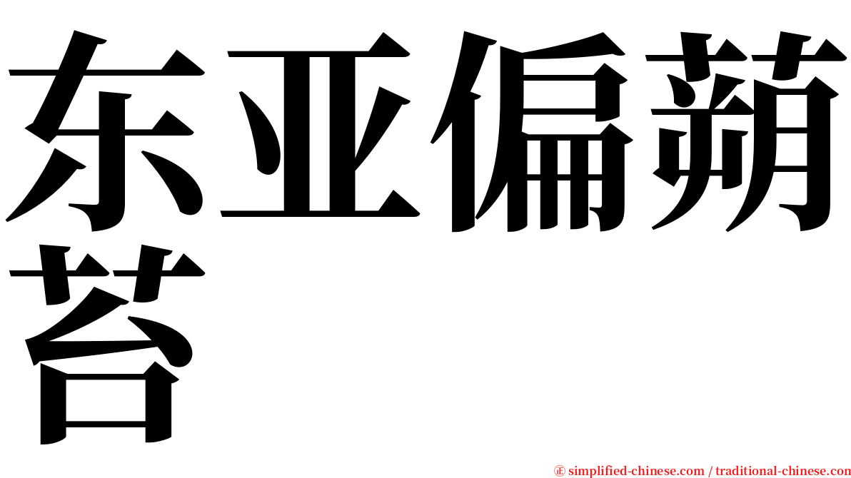 东亚偏蒴苔 serif font