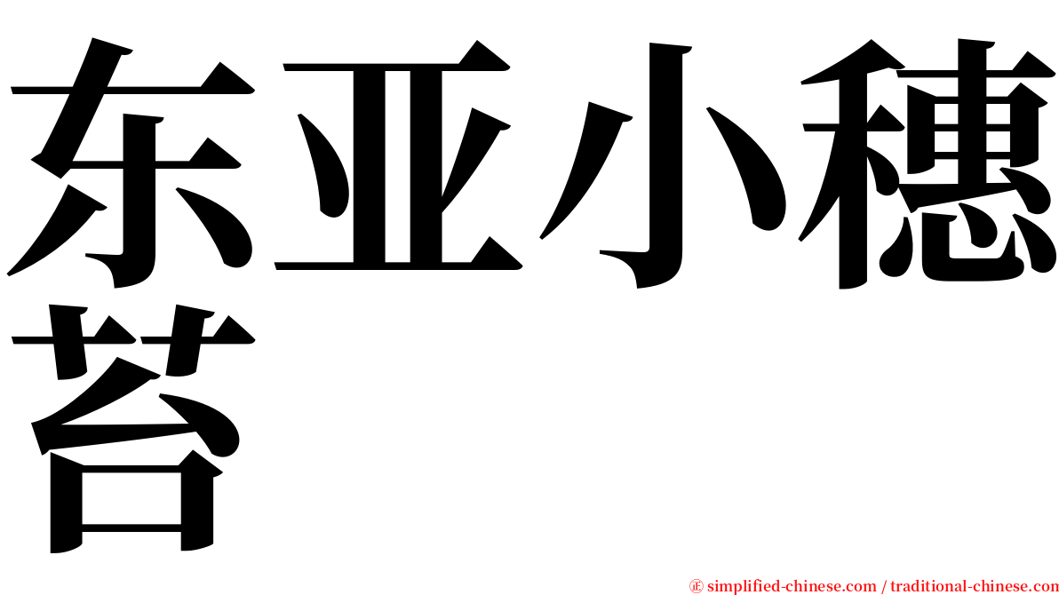 东亚小穗苔 serif font