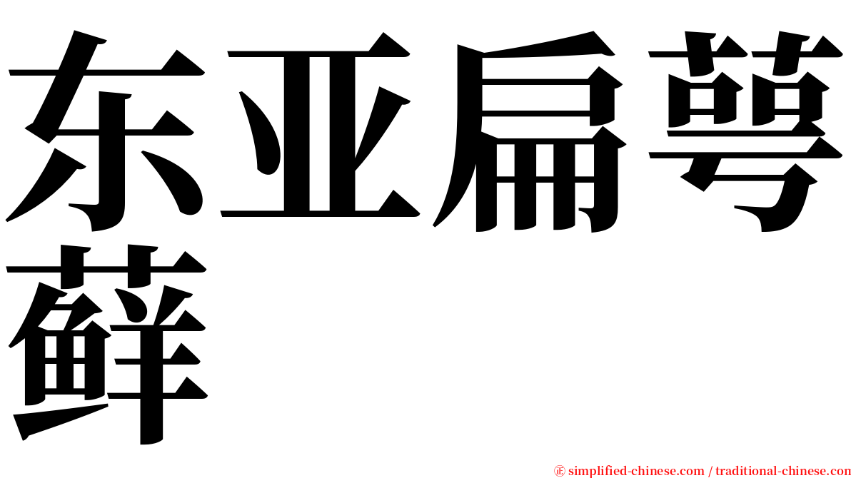 东亚扁萼藓 serif font