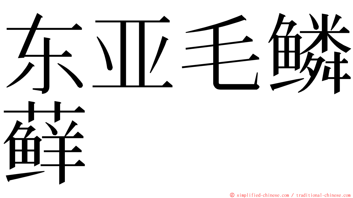 东亚毛鳞藓 ming font