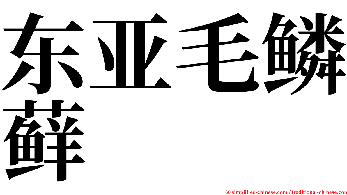 东亚毛鳞藓 serif font