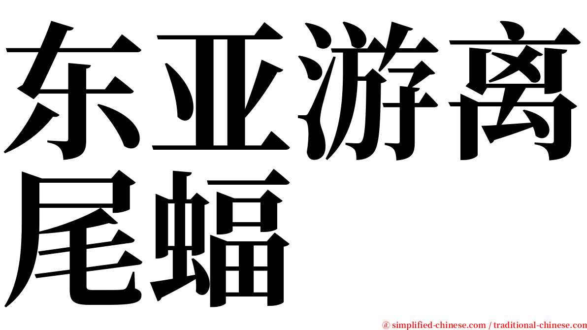 东亚游离尾蝠 serif font