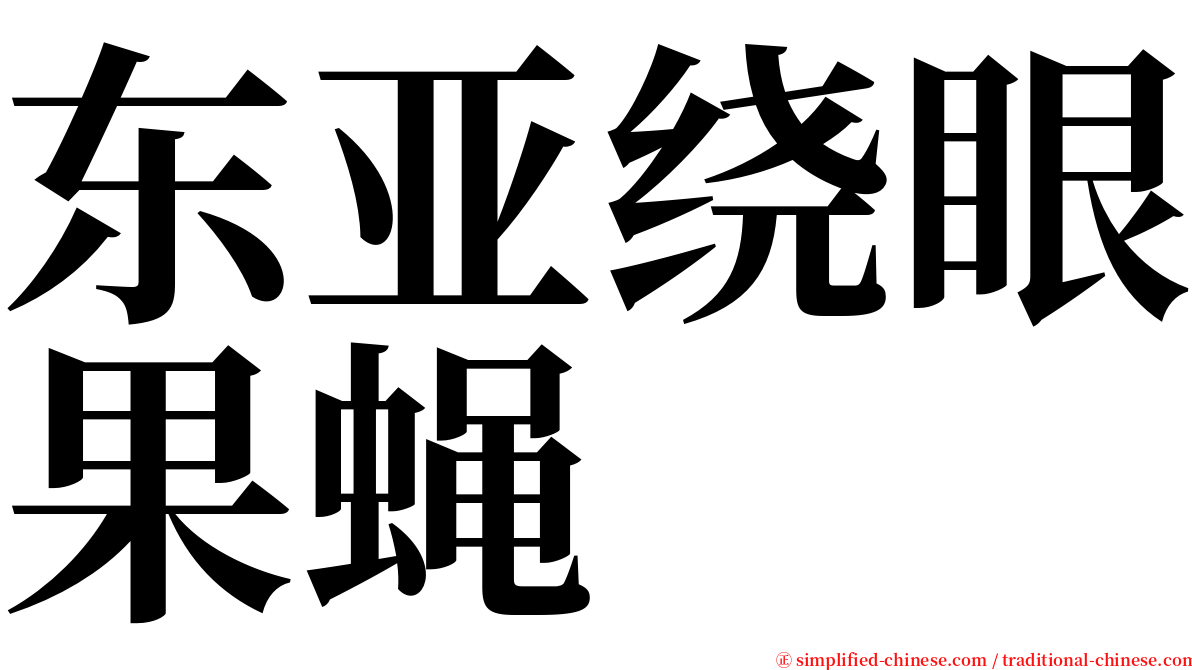 东亚绕眼果蝇 serif font