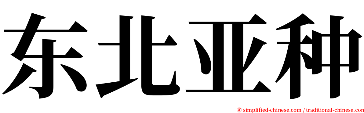 东北亚种 serif font