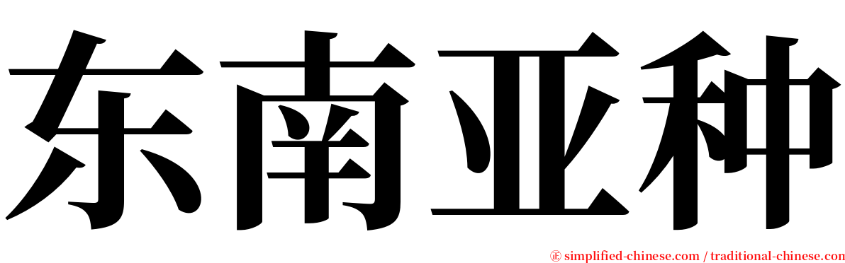 东南亚种 serif font