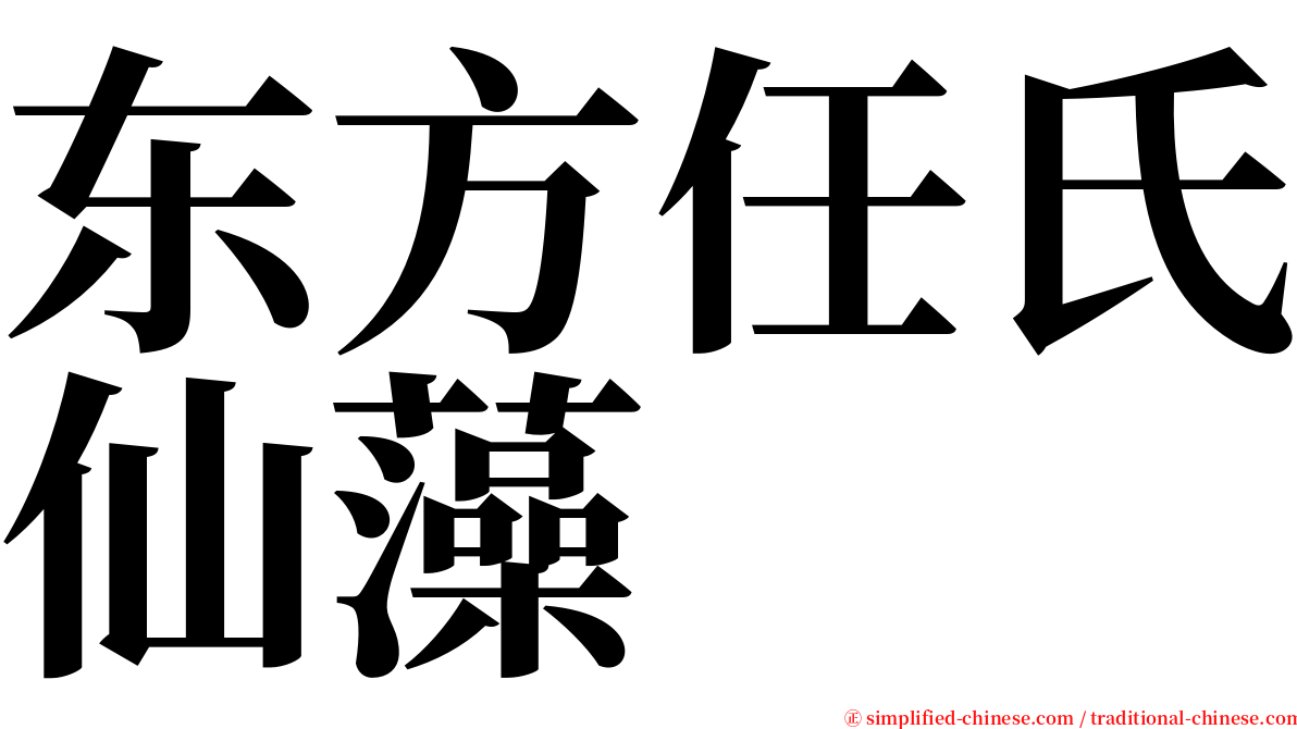 东方任氏仙藻 serif font