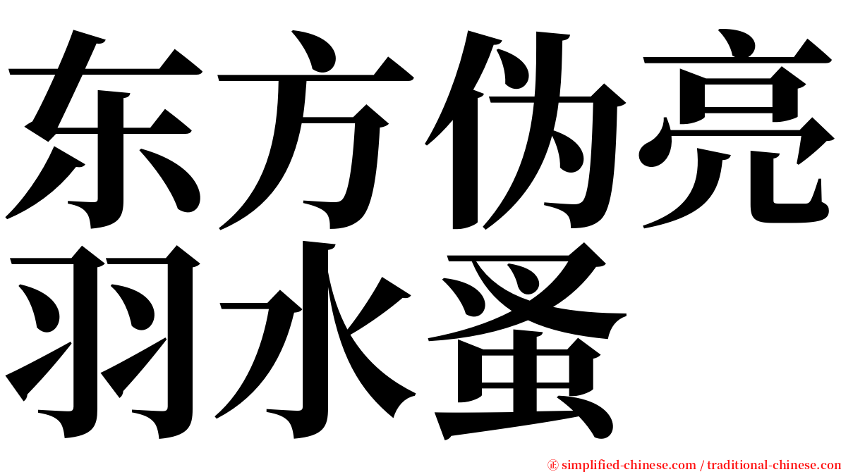 东方伪亮羽水蚤 serif font