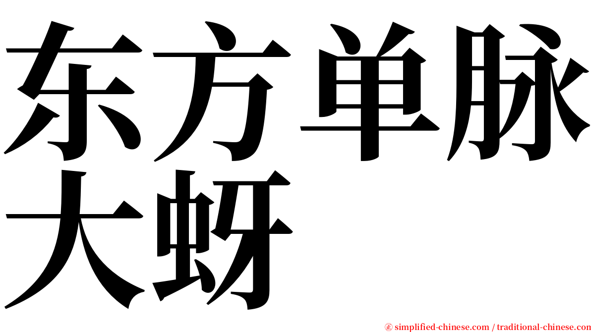 东方单脉大蚜 serif font