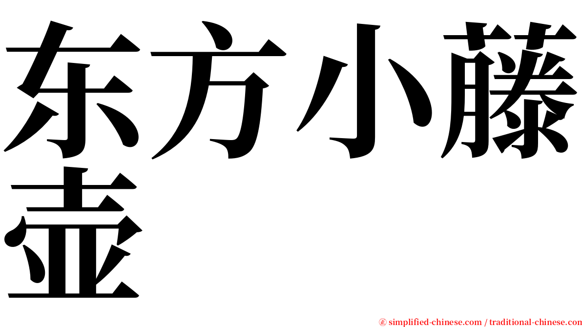 东方小藤壶 serif font