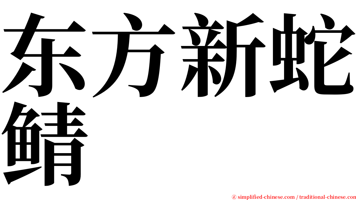 东方新蛇鲭 serif font