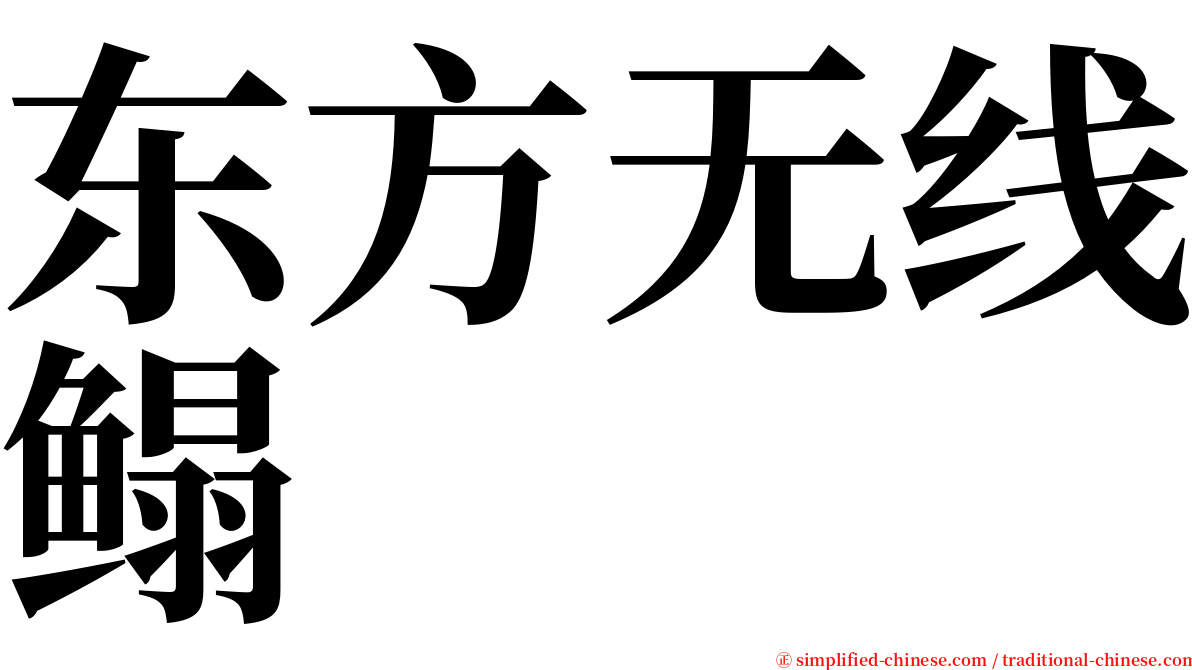 东方无线鳎 serif font