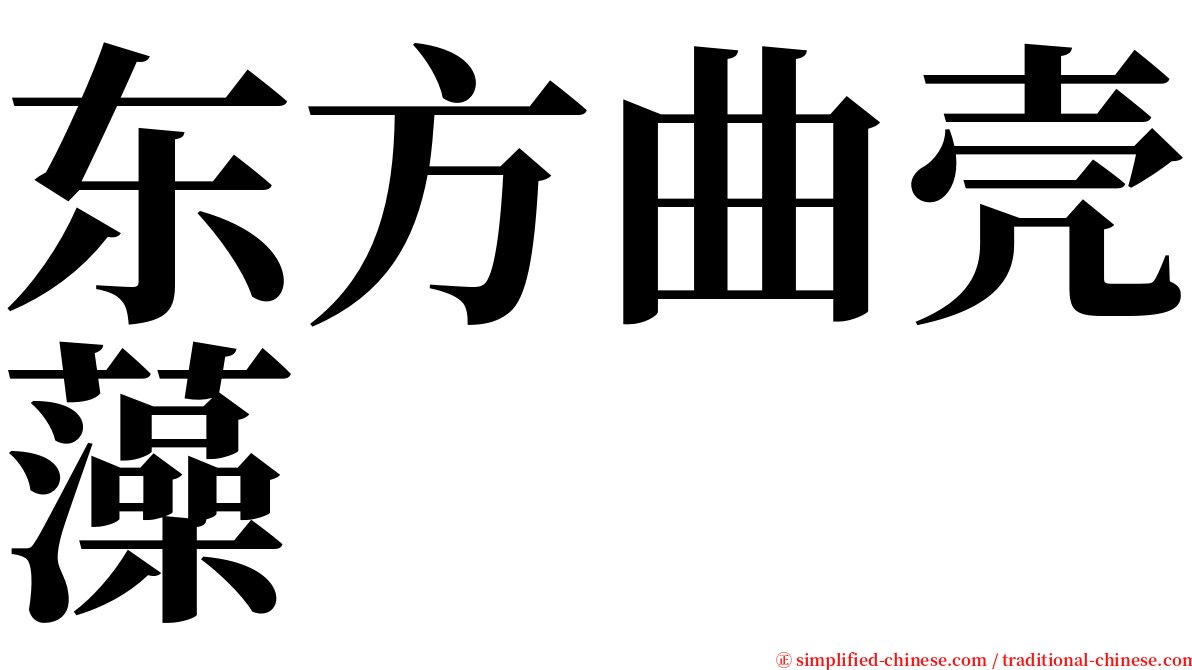 东方曲壳藻 serif font