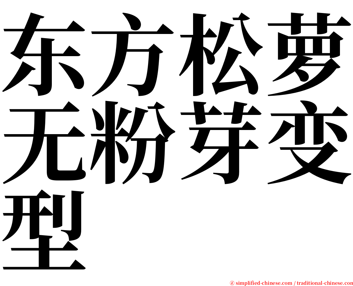 东方松萝无粉芽变型 serif font