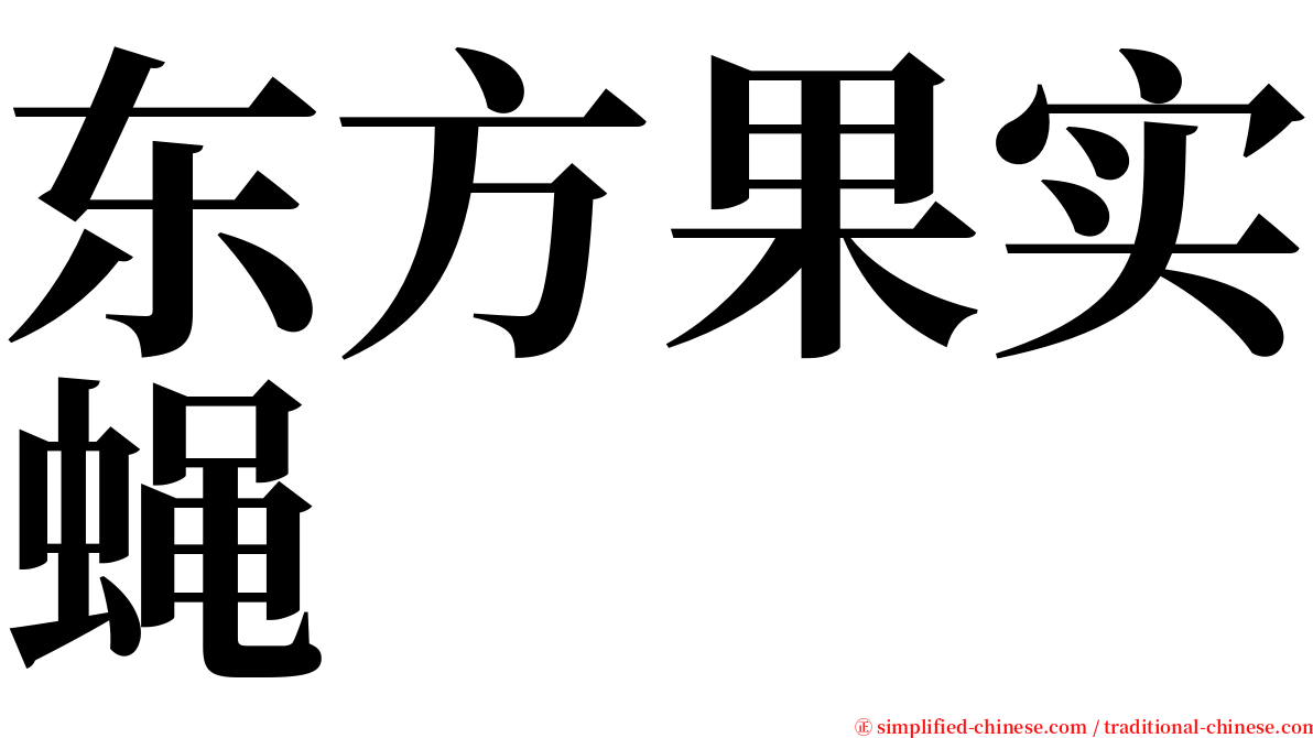 东方果实蝇 serif font