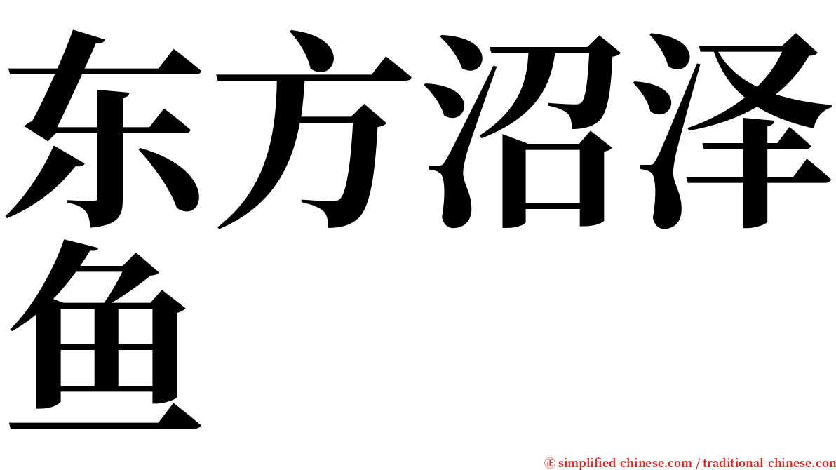 东方沼泽鱼 serif font
