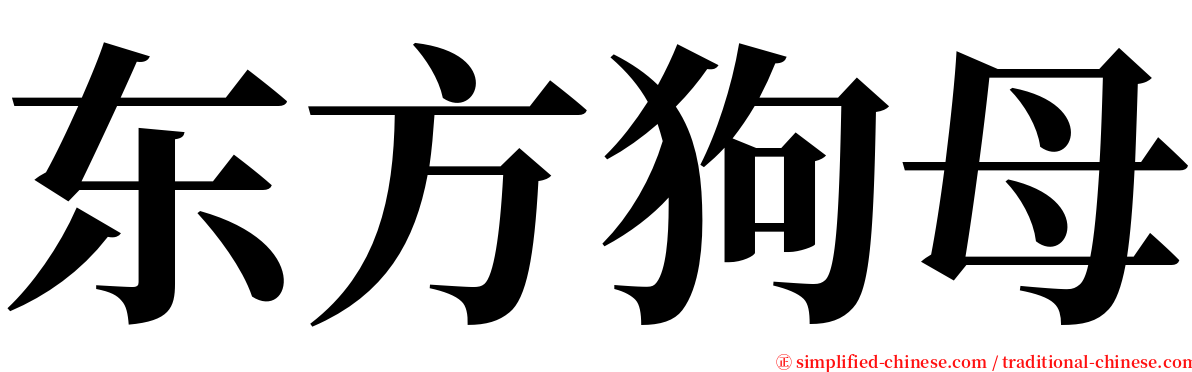 东方狗母 serif font