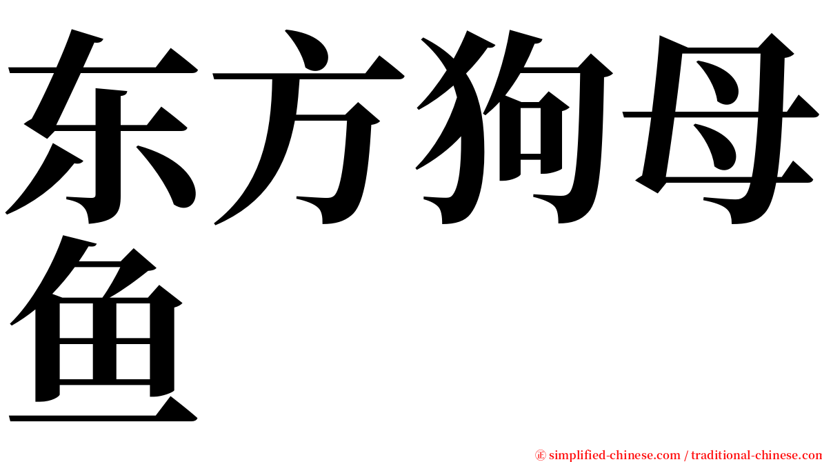 东方狗母鱼 serif font