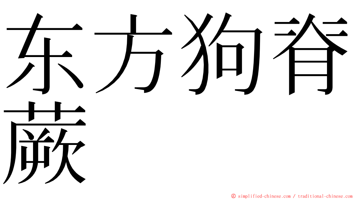 东方狗脊蕨 ming font