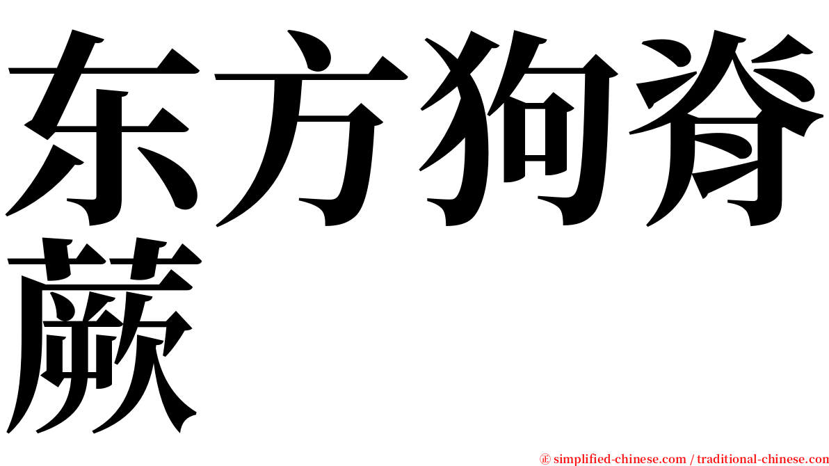 东方狗脊蕨 serif font