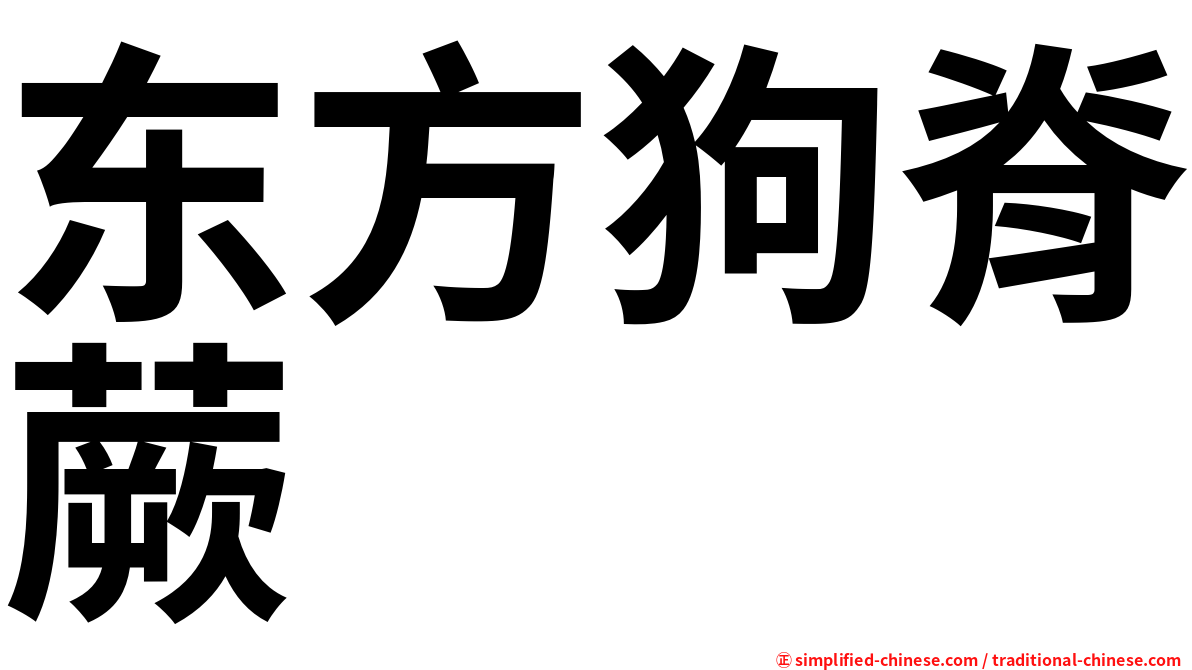 东方狗脊蕨