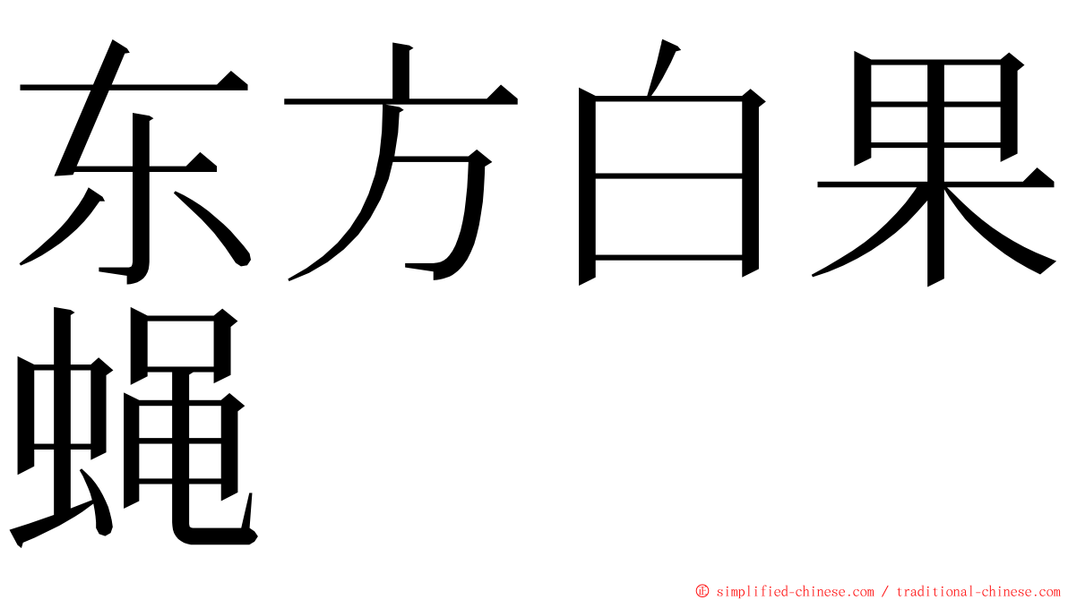 东方白果蝇 ming font