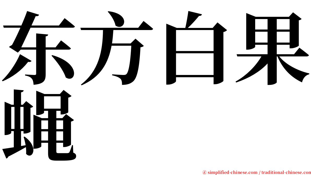 东方白果蝇 serif font