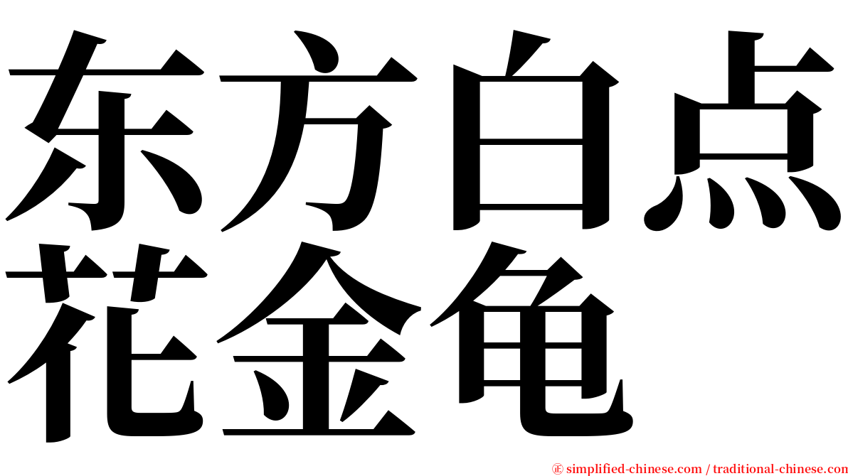 东方白点花金龟 serif font