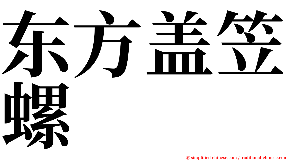 东方盖笠螺 serif font