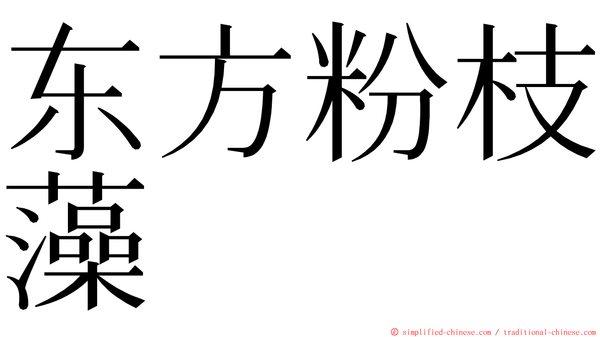 东方粉枝藻 ming font