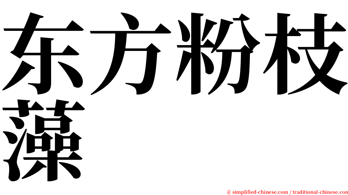 东方粉枝藻 serif font