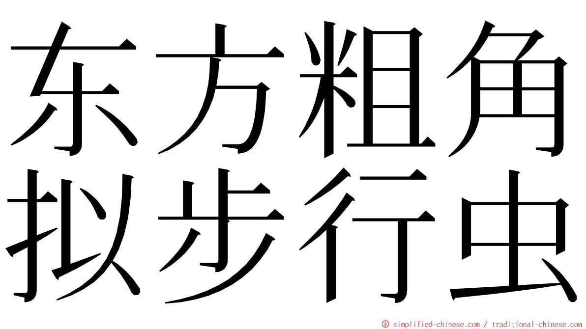 东方粗角拟步行虫 ming font