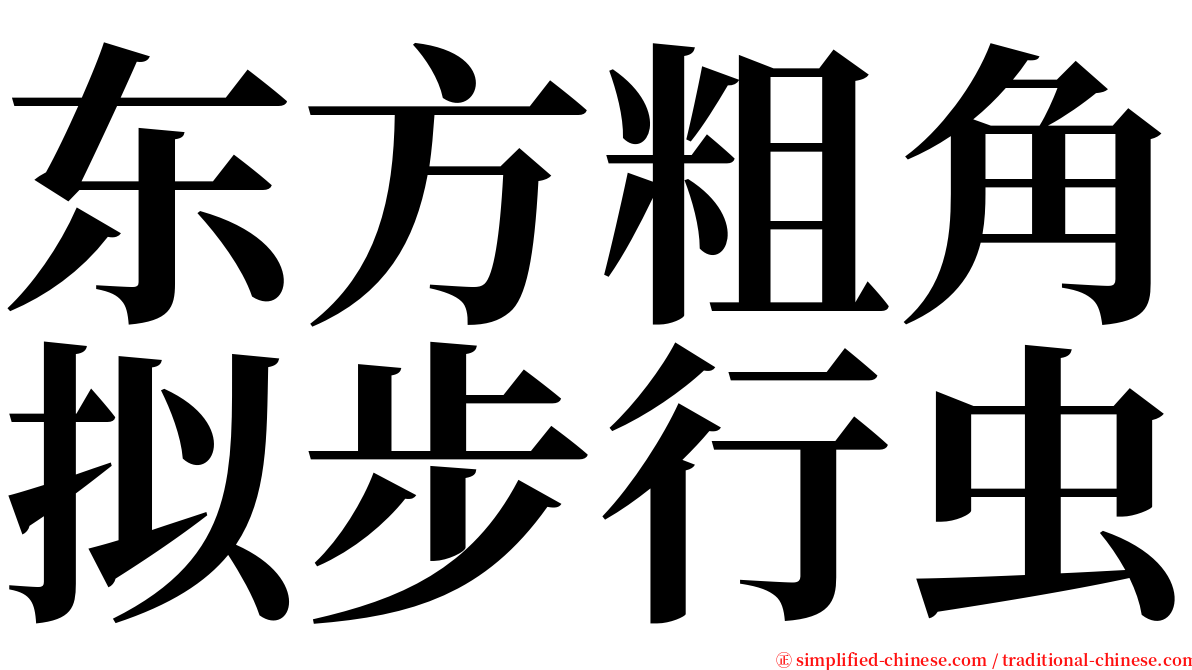 东方粗角拟步行虫 serif font