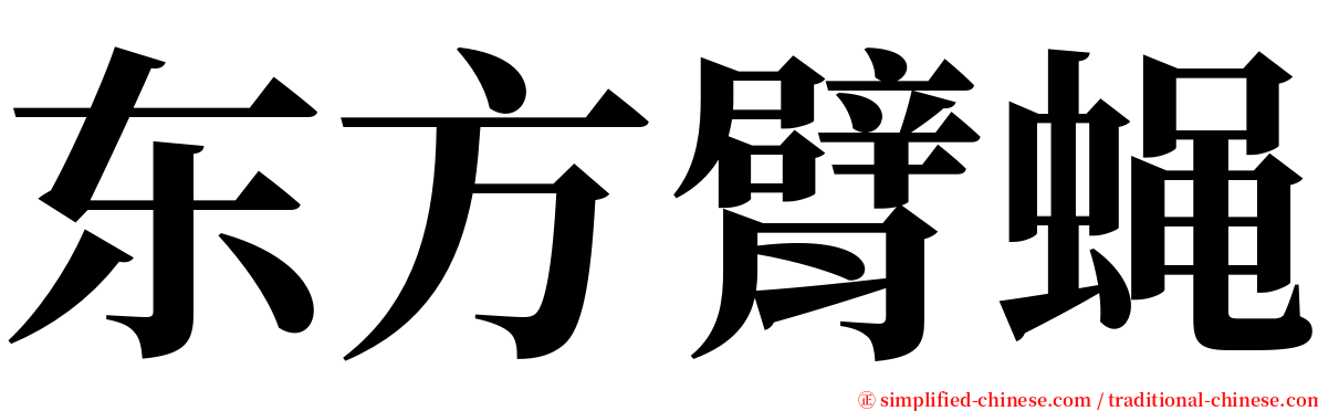 东方臂蝇 serif font