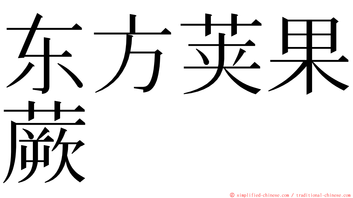东方荚果蕨 ming font