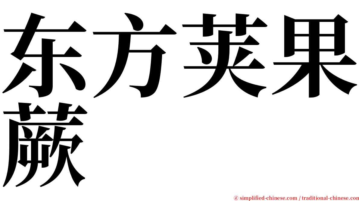 东方荚果蕨 serif font