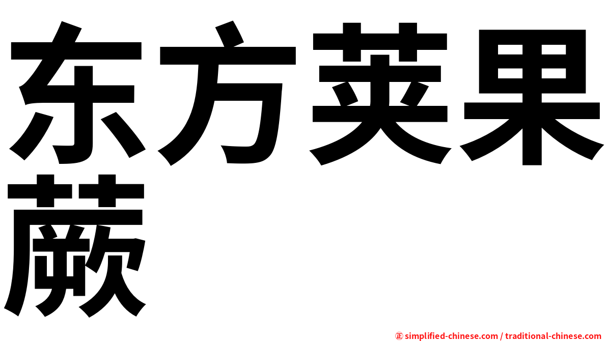 东方荚果蕨