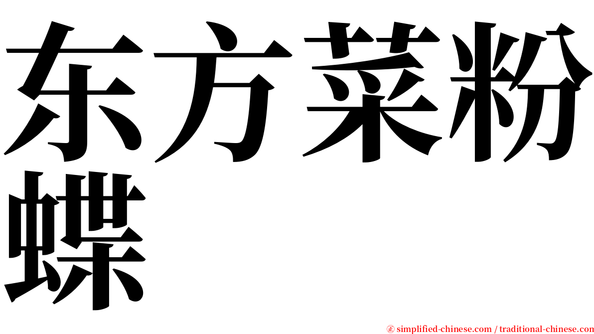 东方菜粉蝶 serif font