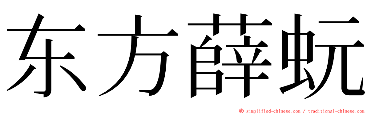 东方薛蚖 ming font