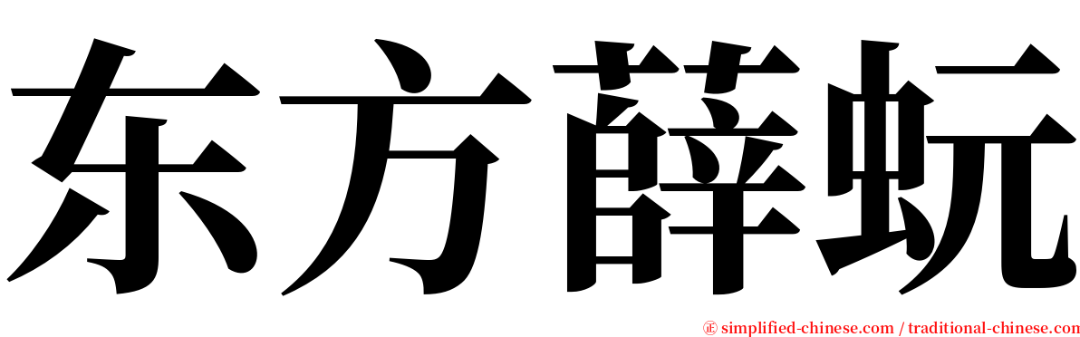 东方薛蚖 serif font